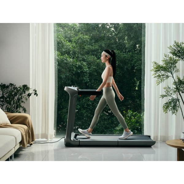 Фото - Беговая дорожка KingSmith WalkingPad Treadmill X218